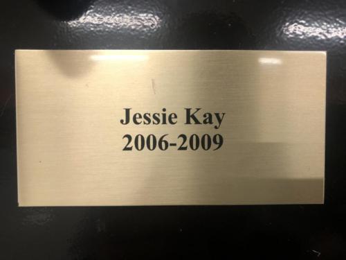 2006-2009 Jessie Kay