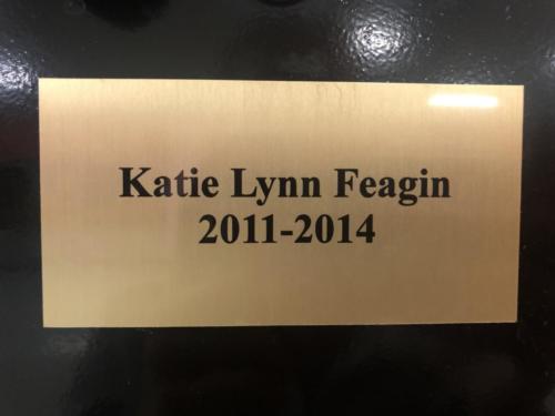 2011-2014 Katie Lynn Feagin